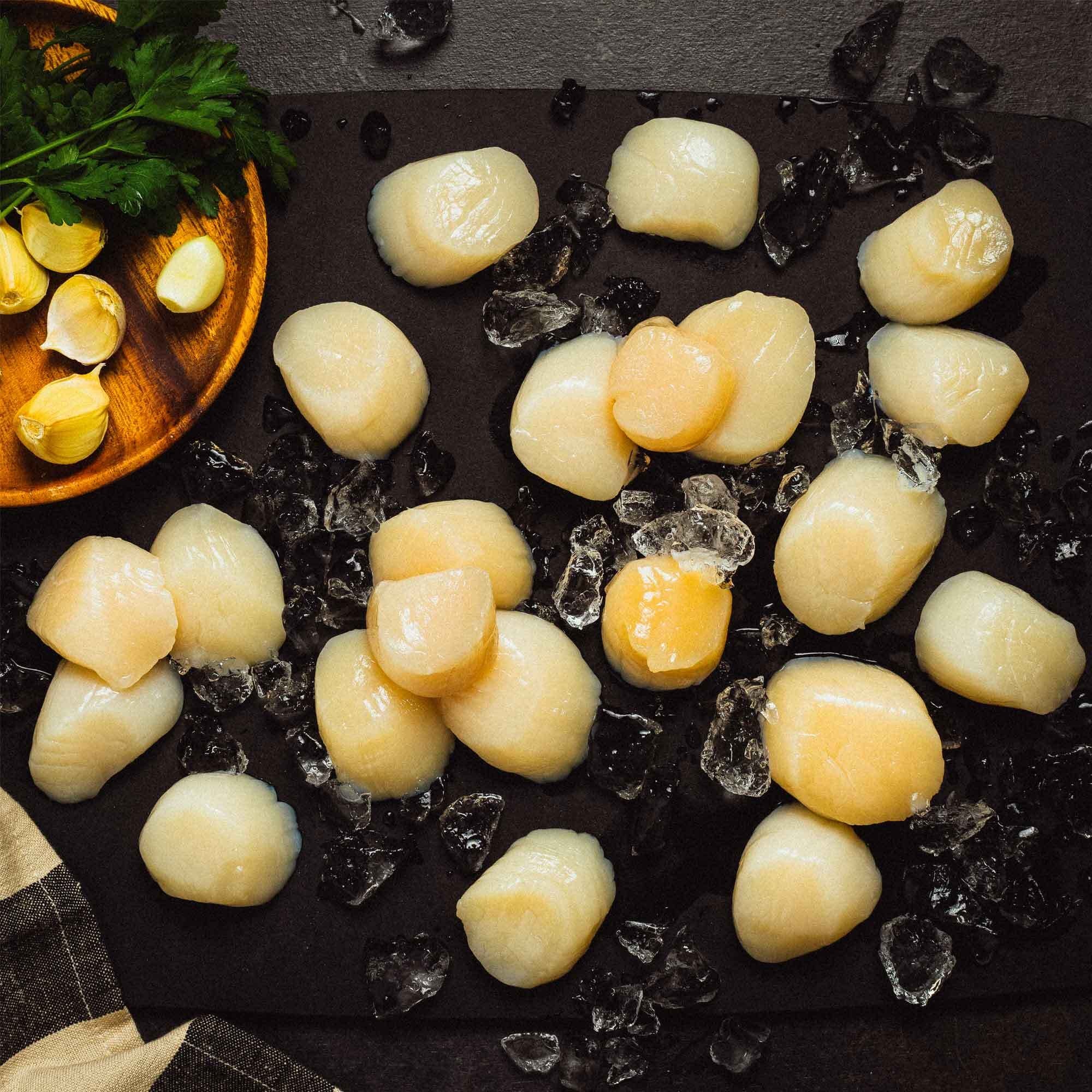 KAREN ELIZABETH SCALLOPS - Image 3