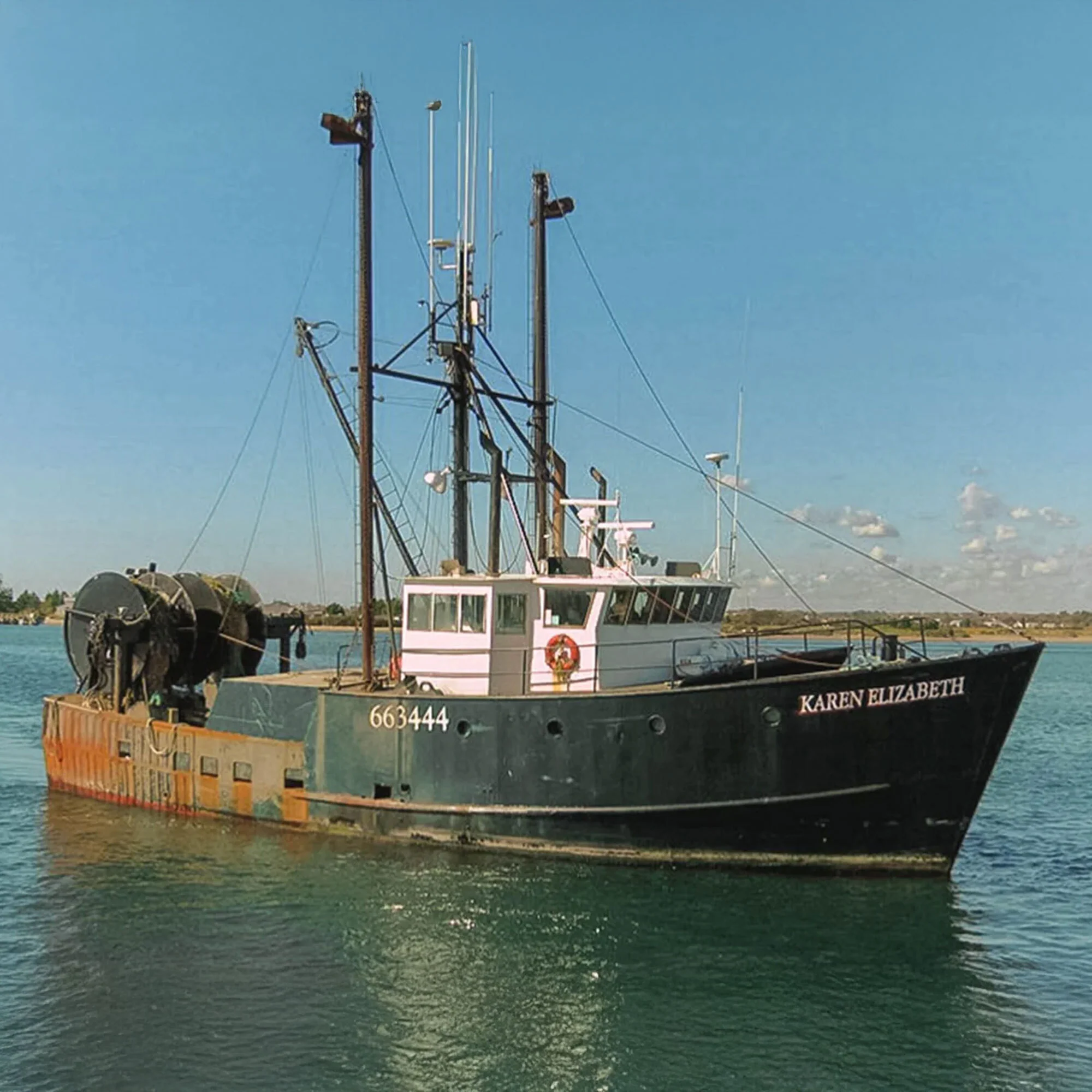 KAREN ELIZABETH SCALLOPS - Image 5