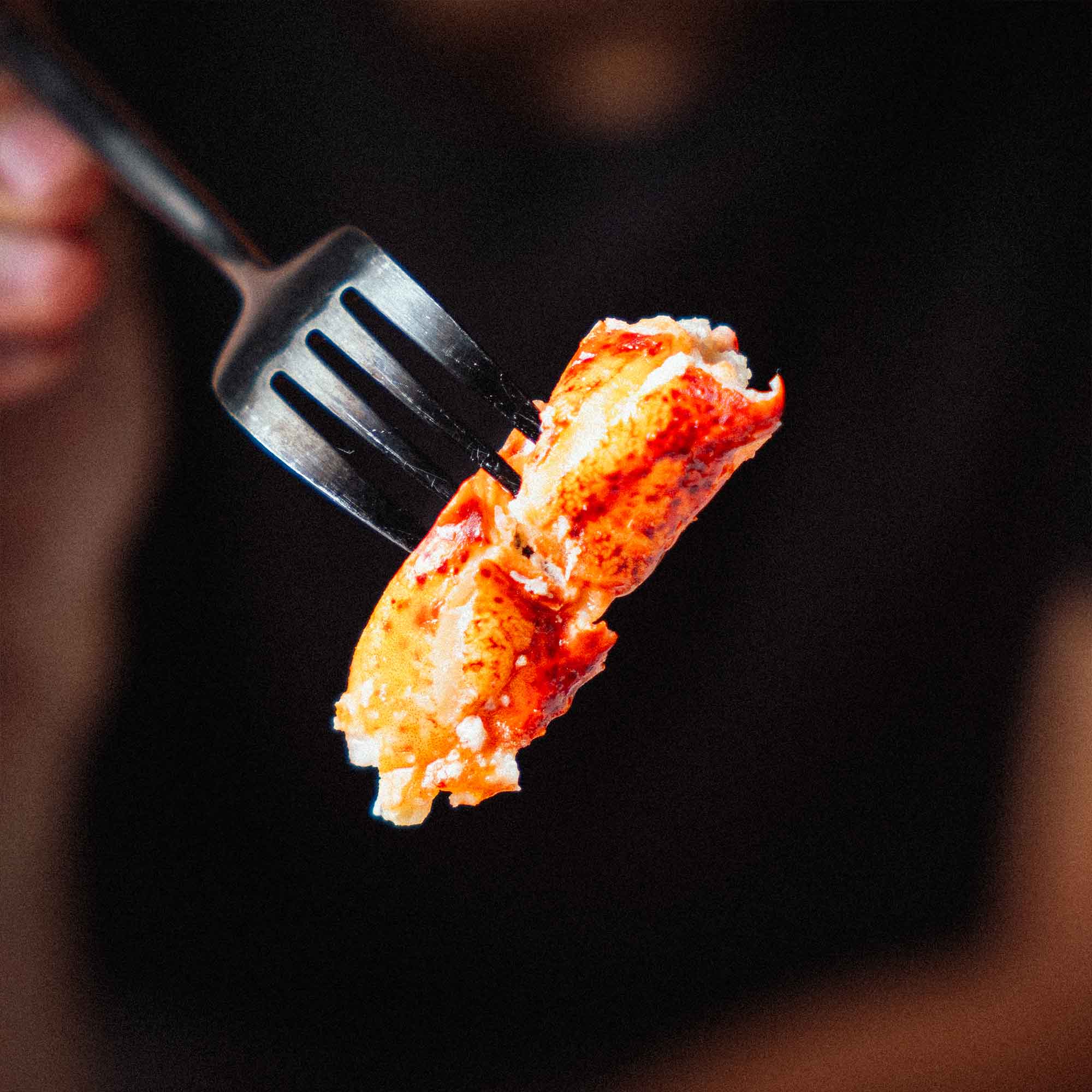 LOBSTER KNUCKLE MEAT - Image 4