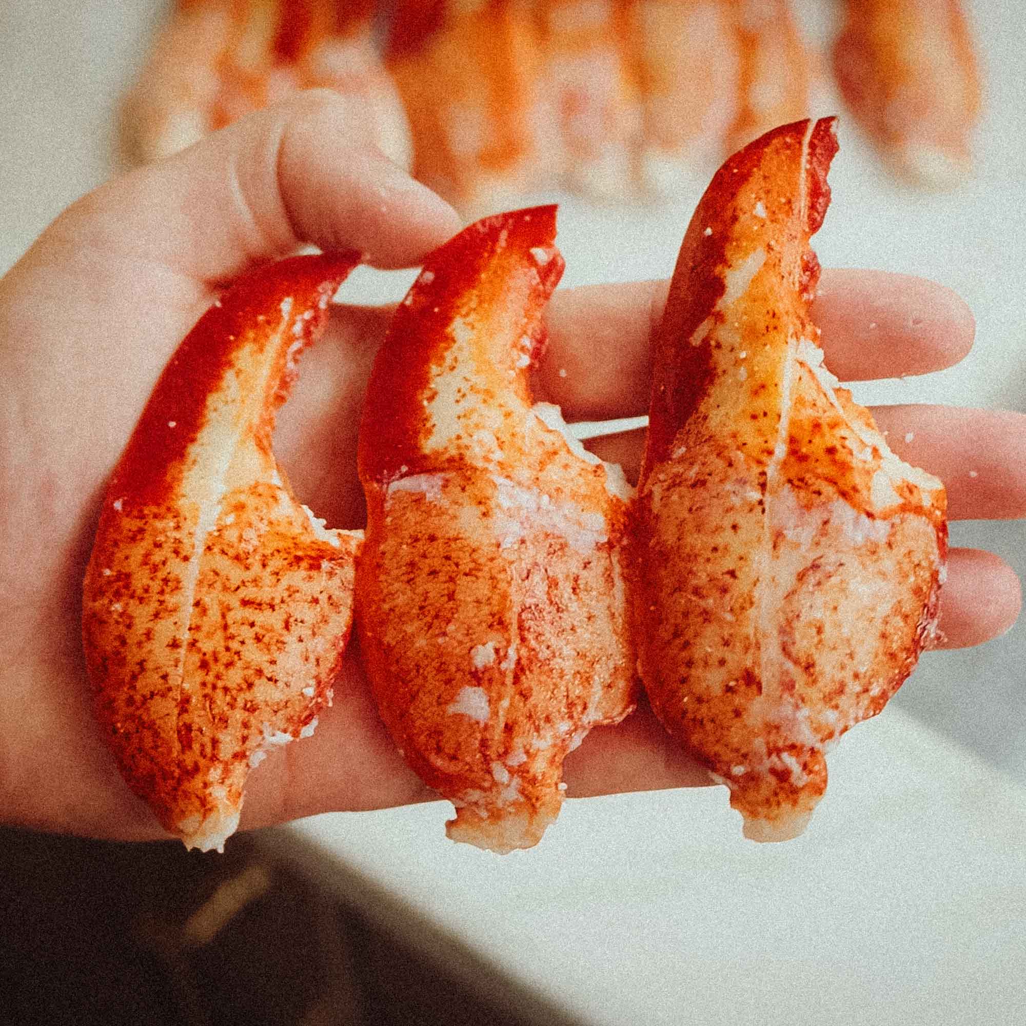 LOBSTER CLAW MEAT (16oz) - Image 4