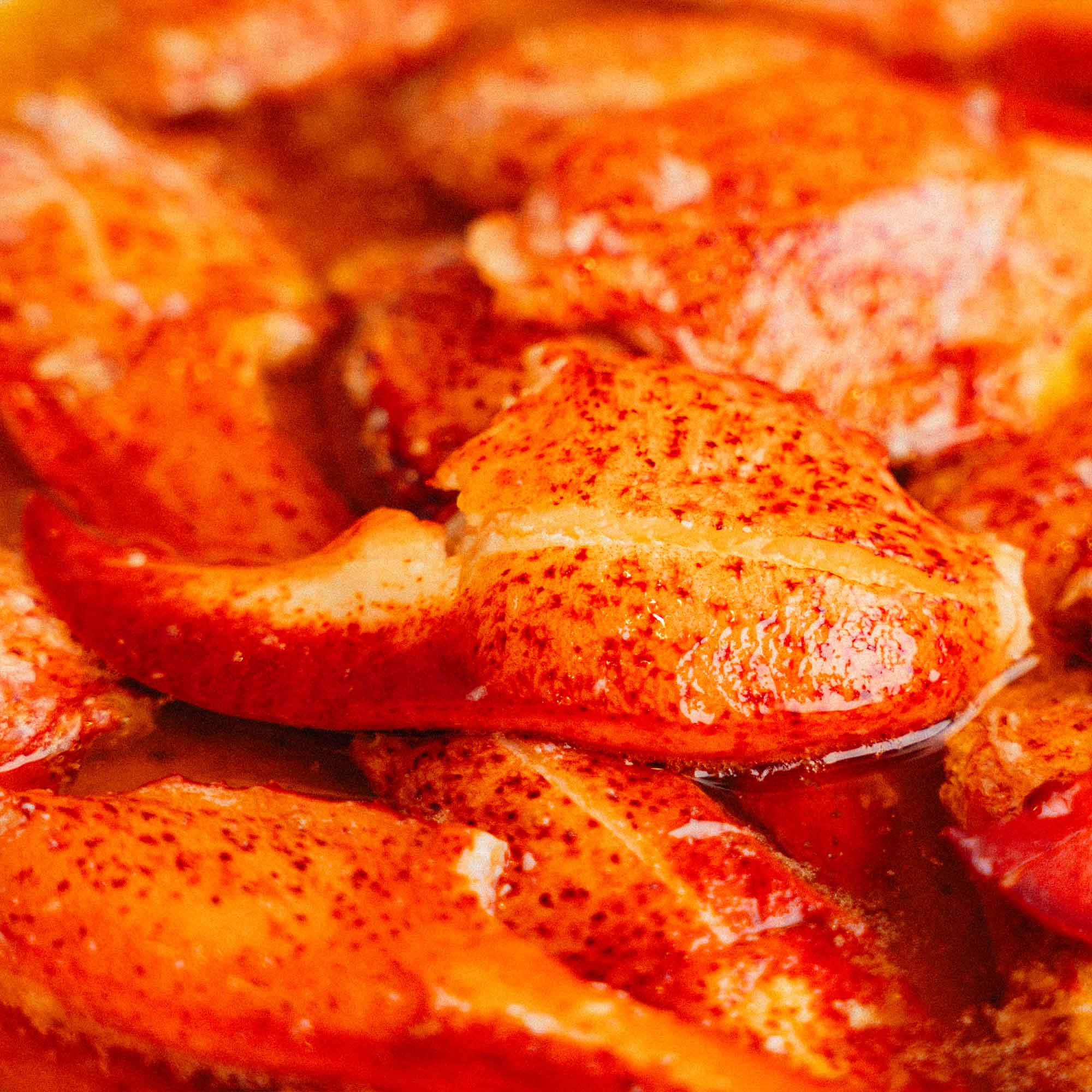 LOBSTER CLAW MEAT (16oz) - Image 5