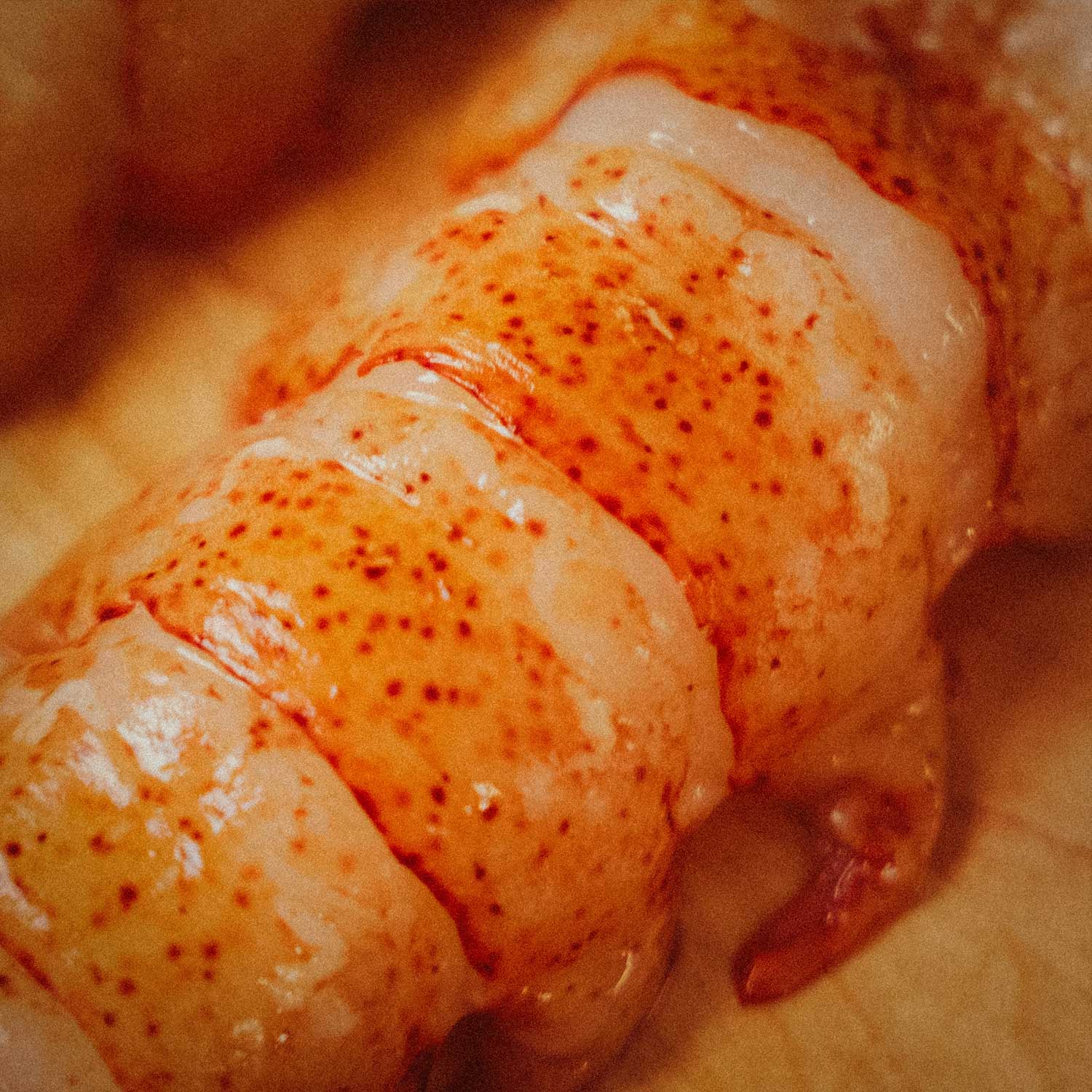 MAINE LOBSTER TAILS (IN-SHELL, HIGH PRESSURE PROCESSED) - Image 5